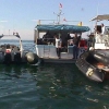 divex08