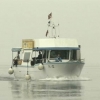 divex25