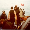 divex29