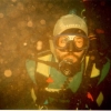 divex30