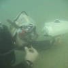 divex31