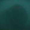 divex37