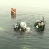 divex39