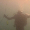 divex42