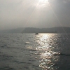 divex43