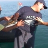 divex44