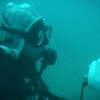 divex45