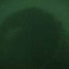 divex46