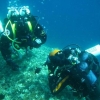 mali-losinj-2009-17