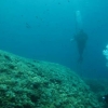 mali-losinj-2009-20