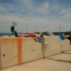 149_resize