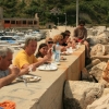 160_resize
