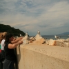 166_resize