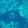 dsc04956r