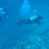 dsc04975r